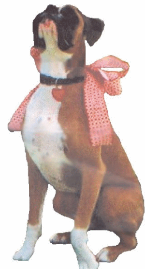 boxer.GIF - 80162 Bytes